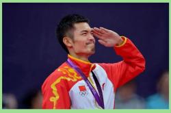 开云体育入口-乒乓球明星林丹将晋级的简单介绍