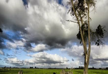 开云体育app-澳大利亚网球队完胜德国队,瓦林卡完成帽子戏法,体育盛事再掀热潮